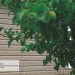 Сайдинг Ю-Пласт TIMBERBLOCK Пихта (Тимберблок) Cахалинская купить в Набережных Челнах