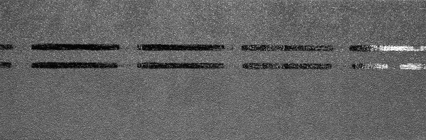 Коньково-карнизная черепица Docke Premium, черника купить в Набережных Челнах