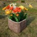 Цветник КАНЬОН купить в Набережных Челнах