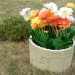Цветник КАНЬОН купить в Набережных Челнах