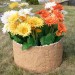 Цветник КАНЬОН купить в Набережных Челнах